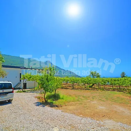 Villa Magrip *